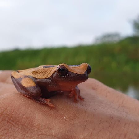 הוילה Santa Sofía Reserva Natural Tucuchira מראה חיצוני תמונה